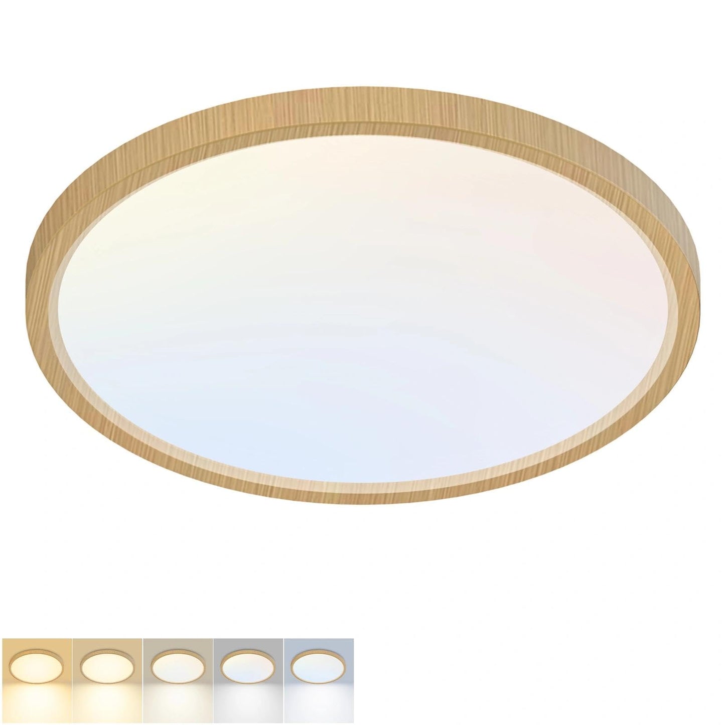 2Pack 12Inch LED Flush Mount Ceiling Light 5 Color Temperatures | 3000K/3500K/4000K/5000K/6500K 24W Black LED Ceiling Light Fixture for Bathroom Closet Kitchen Bedroom Hallway Porch Pantry