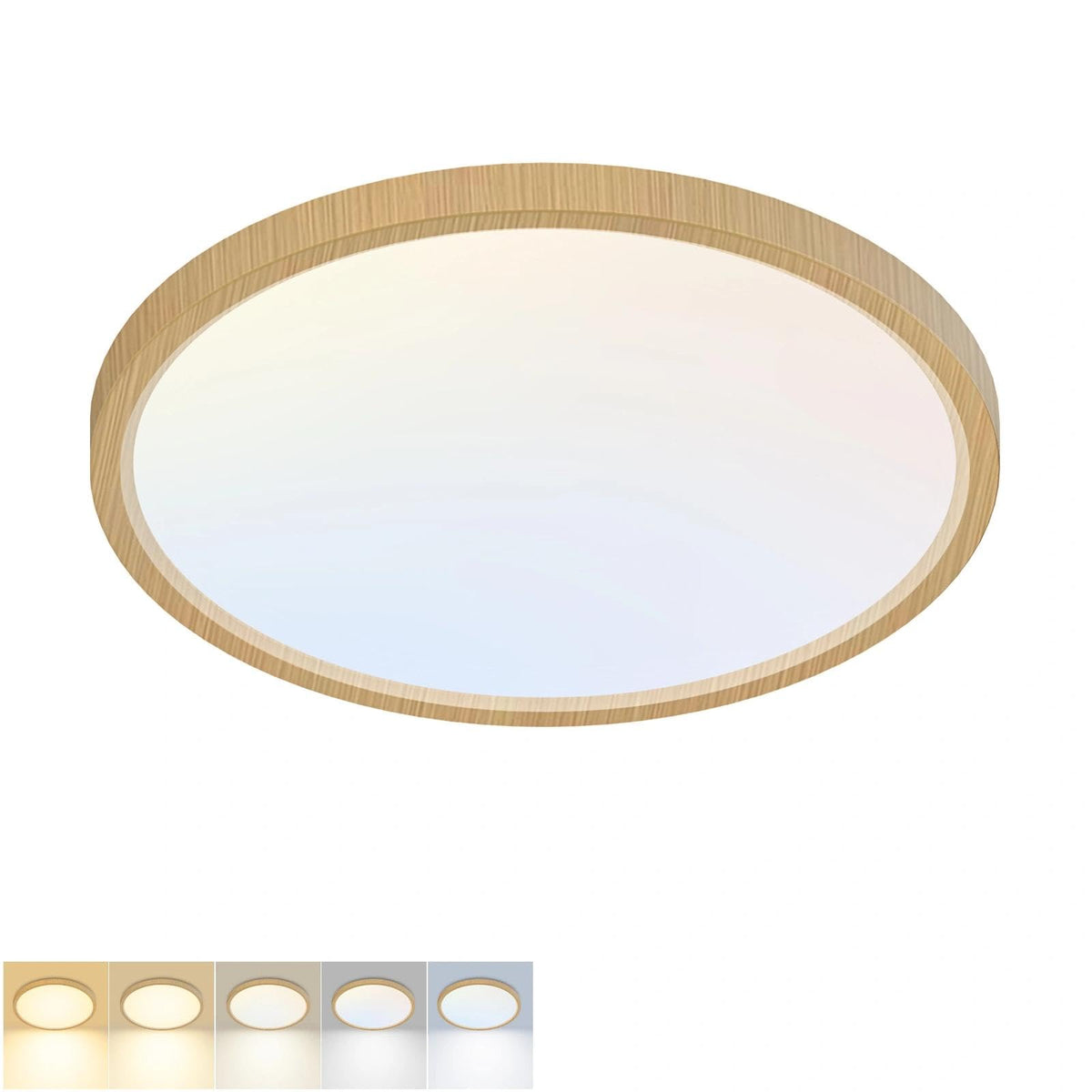 2Pack 12Inch LED Flush Mount Ceiling Light 5 Color Temperatures | 3000K/3500K/4000K/5000K/6500K 24W Black LED Ceiling Light Fixture for Bathroom Closet Kitchen Bedroom Hallway Porch Pantry
