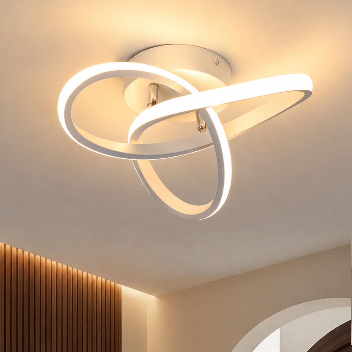 CANEOE Hallway Light Acrylic Modern LED Ceiling Light Fixtures Cool White 6000K Close to Ceiling Lights for Bedroom Bathroom Kitchen Balcony Corridor Stair Aisle Curved Creative Design Celing lamp
