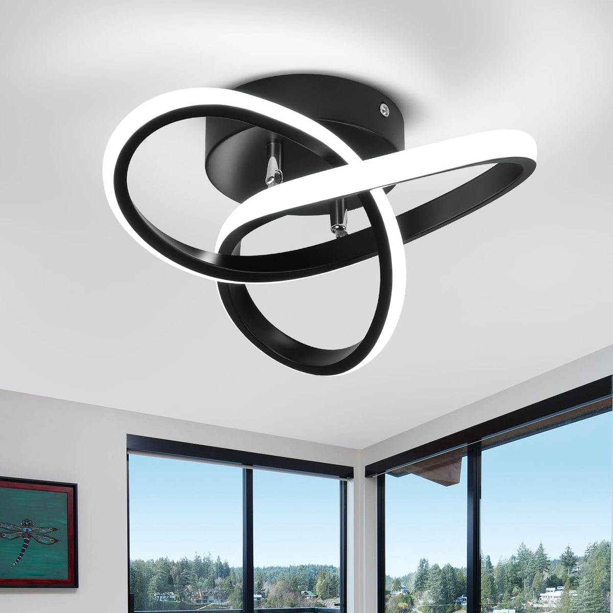 CANEOE Hallway Light Acrylic Modern LED Ceiling Light Fixtures Cool White 6000K Close to Ceiling Lights for Bedroom Bathroom Kitchen Balcony Corridor Stair Aisle Curved Creative Design Celing lamp
