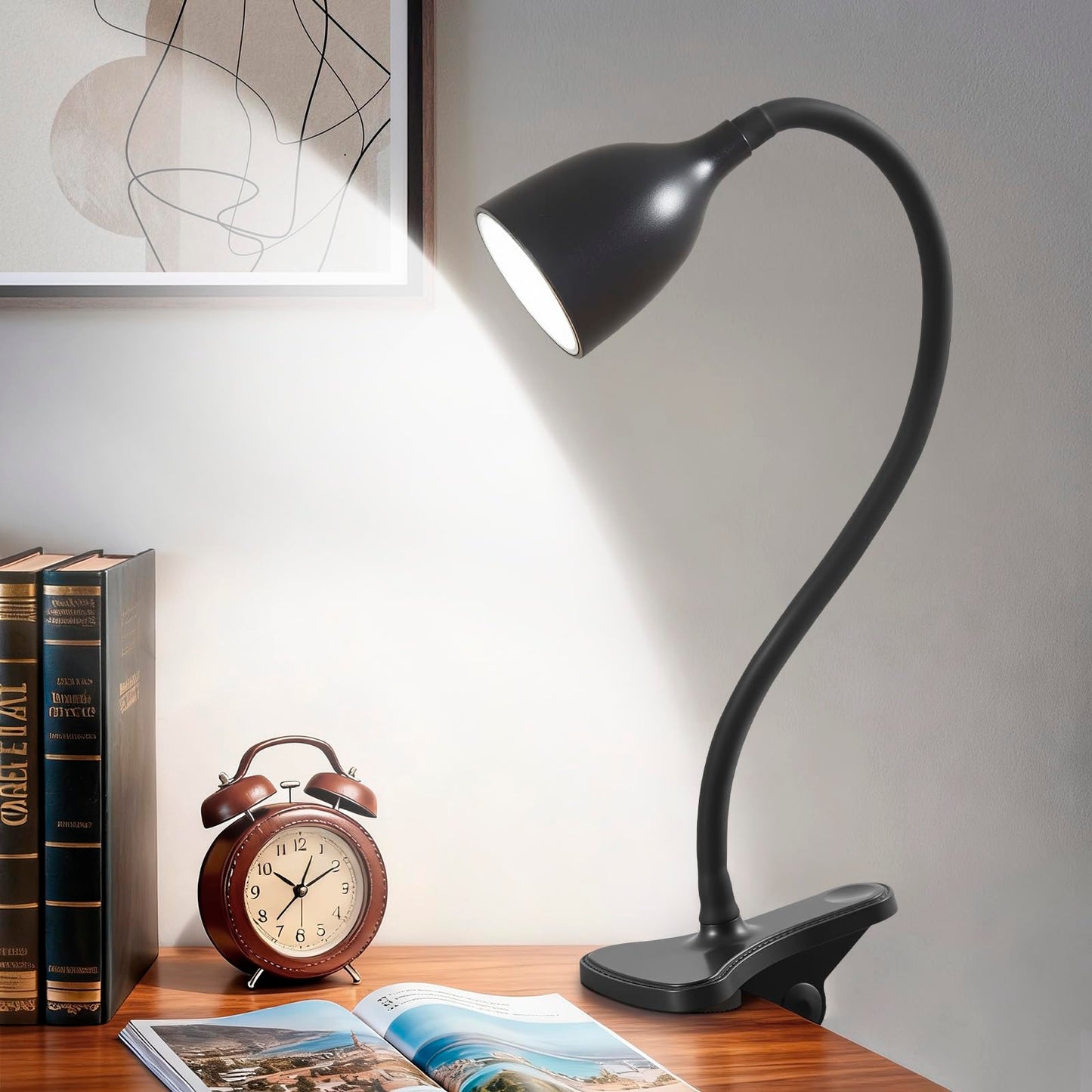 EJIAXIN Desk Lamp for Home Office, LED Reading Light, Small Adjustable Flexible Gooseneck Table Lamp, Eye-Caring Desk Lamp for College Dorm Room Study Lamp, Black
